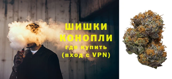 меф Ельня