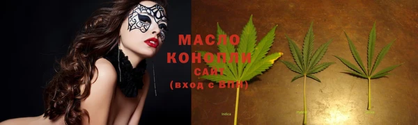 меф Ельня