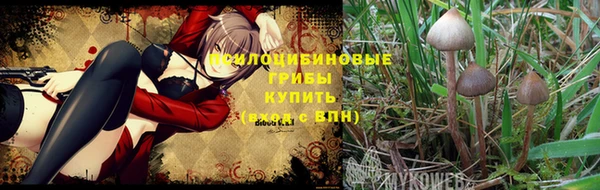 каннабис Елизово