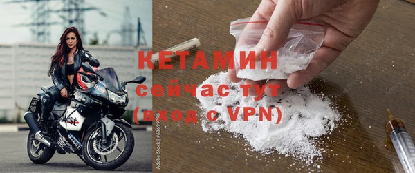 меф Ельня