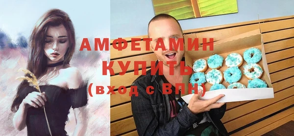 меф Ельня