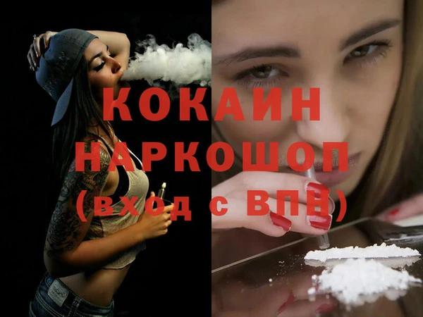 меф Ельня