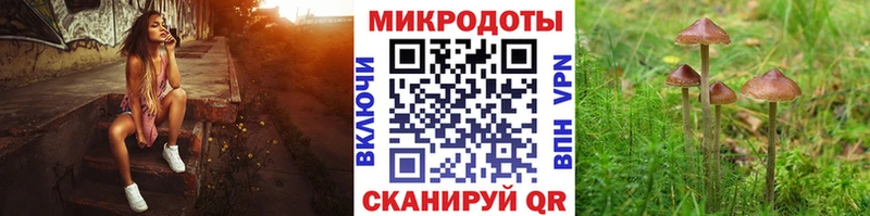 Купить закладки  Ахтырский  Галлюциногенные грибы MAGIC MUSHROOMS 